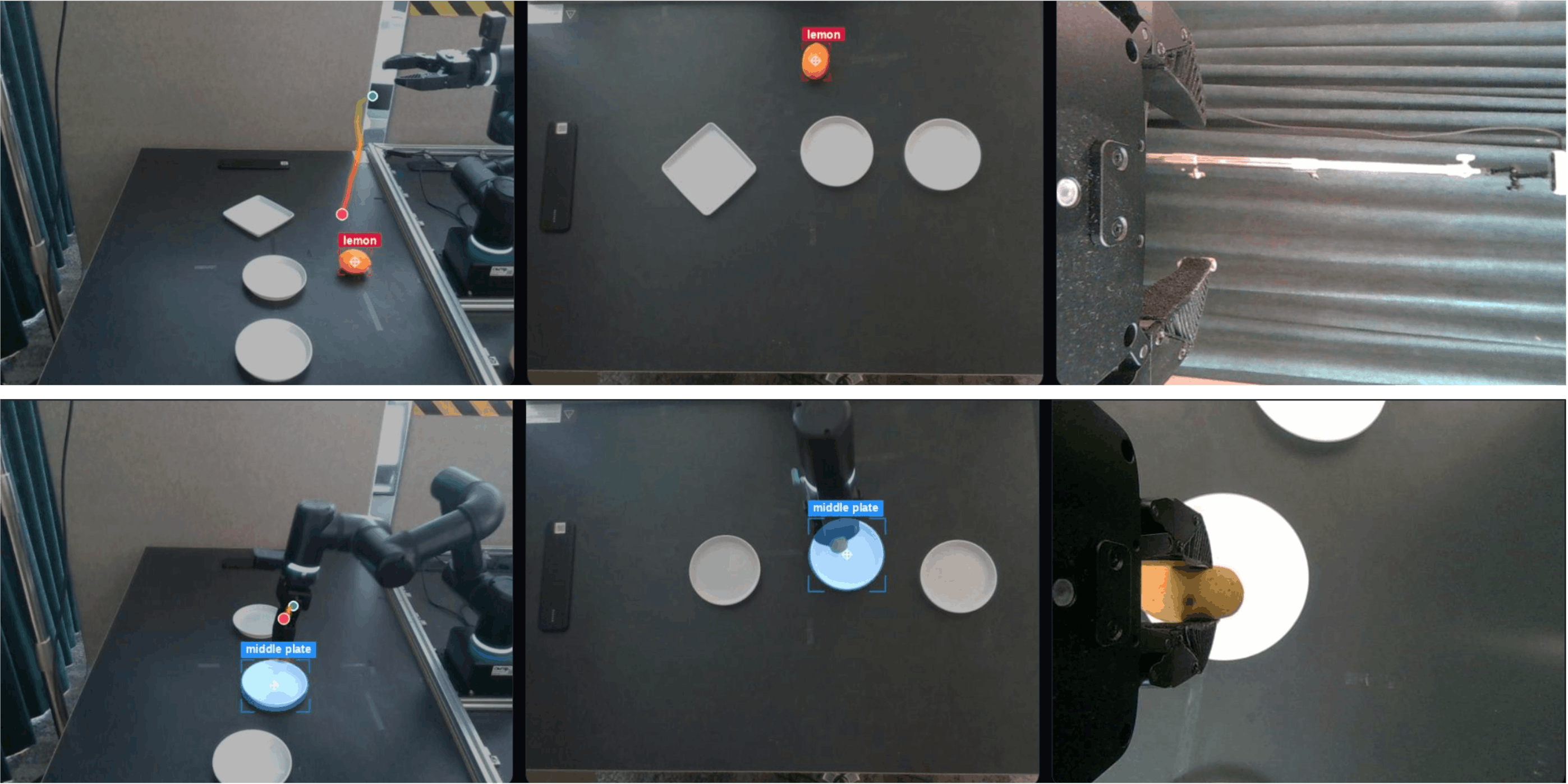 Real-world RAIN rollout trajectory with target grounding overlays across camera views.